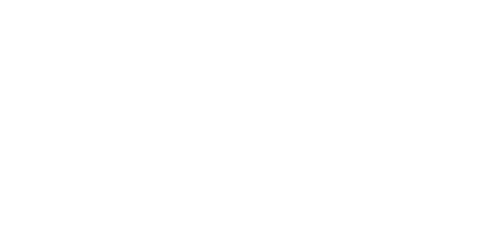 Logo Dixie Feed
