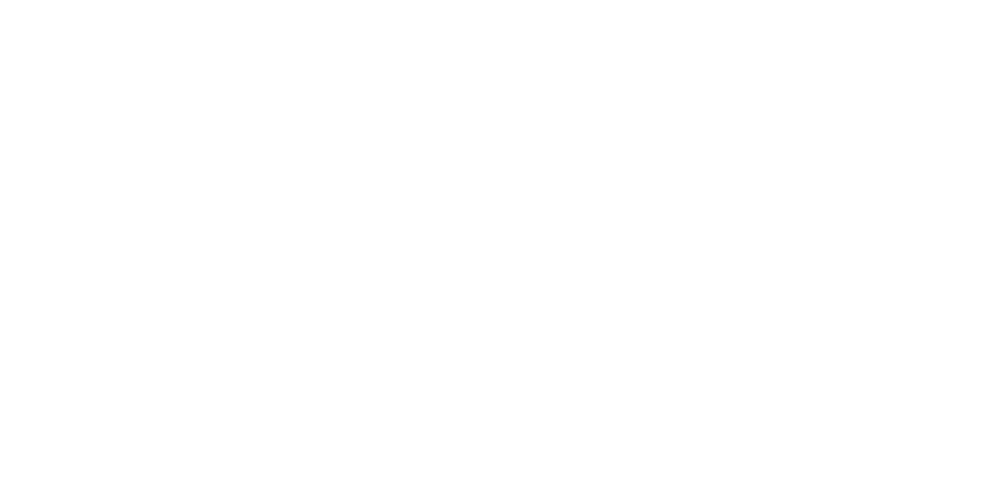 Logo Trimyxs