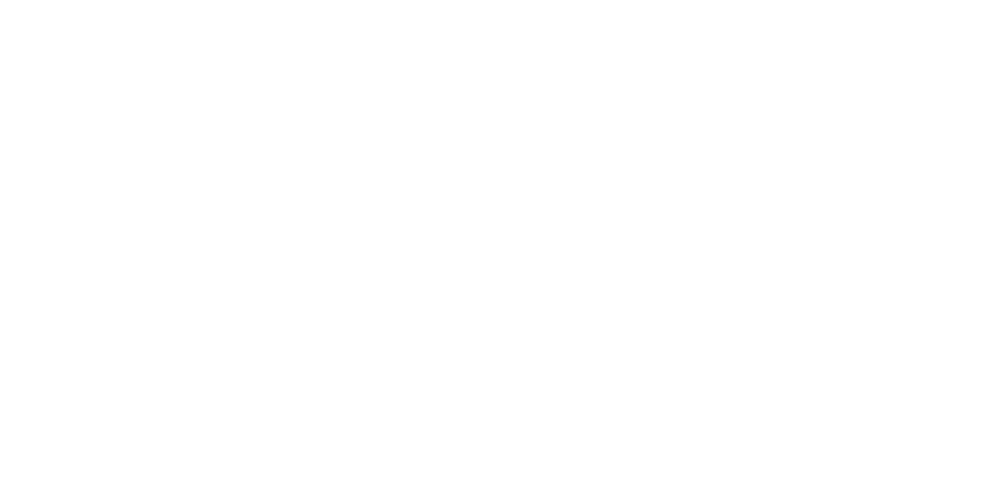 Logo Wild Fire 4-in-1