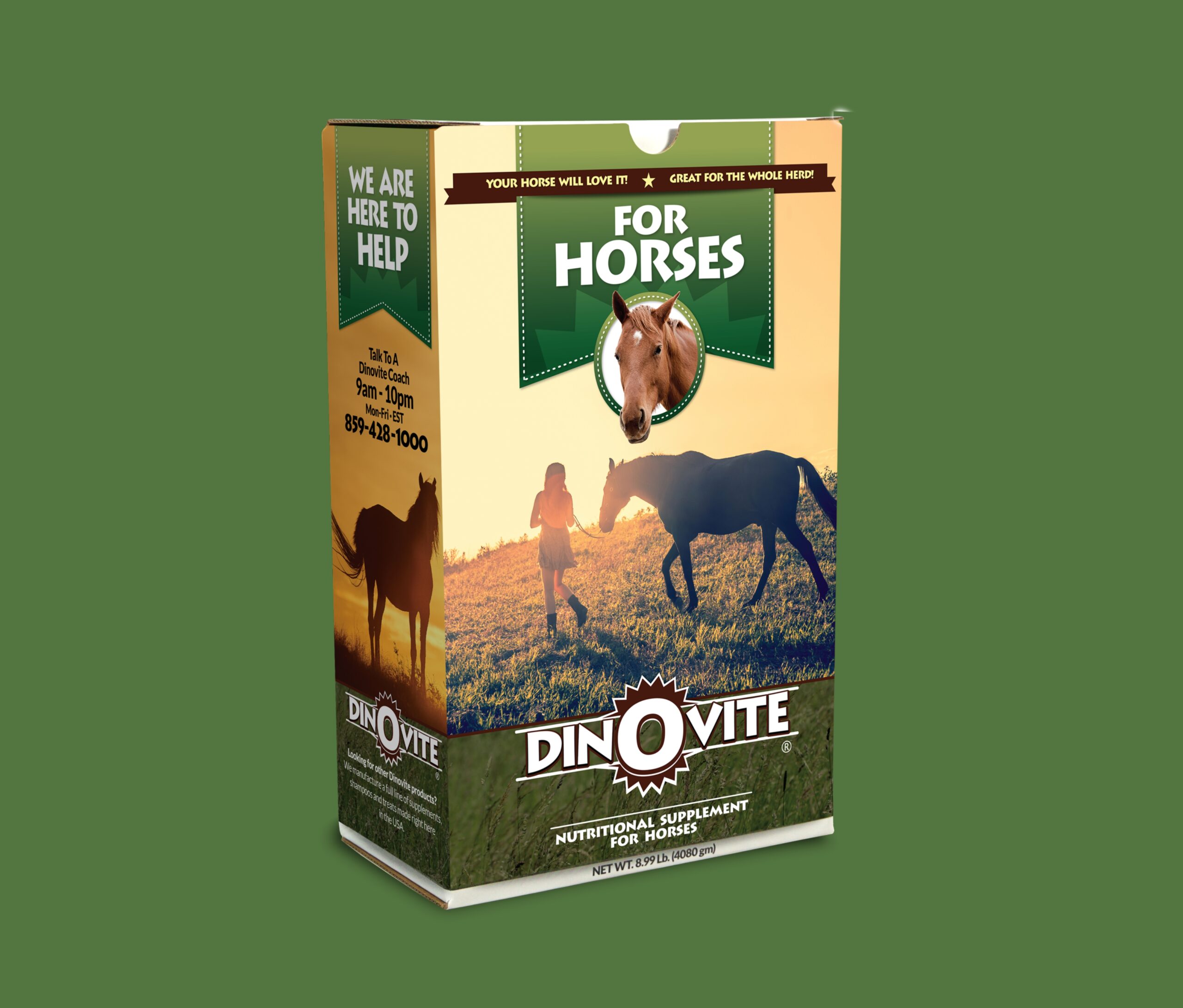 Brand Shepherd Case Study Dinovite HORSES scaled