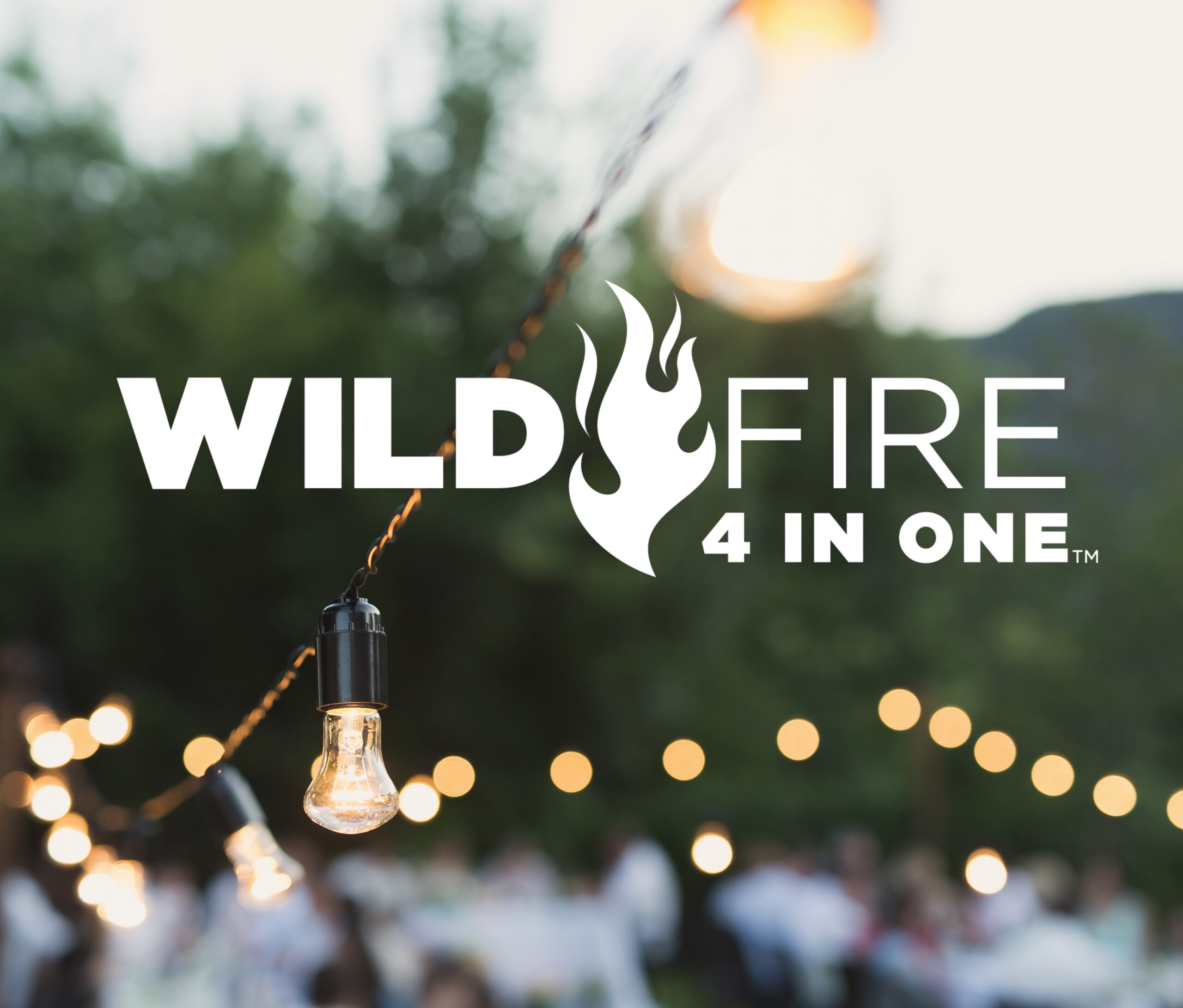 Brand Shepherd Case Study Wild Fire 4 in 1 – logo 1 scaled